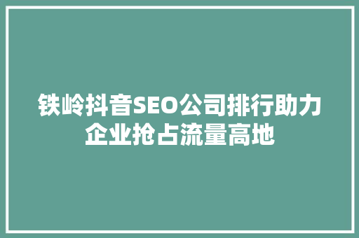 铁岭抖音SEO公司排行助力企业抢占流量高地 seo技术