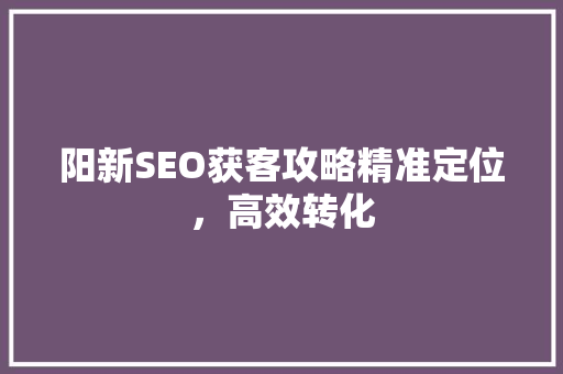 阳新SEO获客攻略精准定位，高效转化 搜狗优化