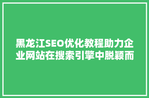 黑龙江SEO优化教程助力企业网站在搜索引擎中脱颖而出