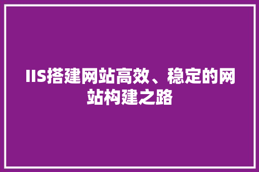 IIS搭建网站高效、稳定的网站构建之路 英文谷歌算法