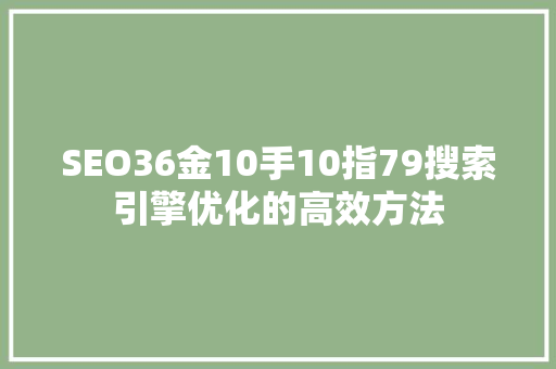 SEO36金10手10指79搜索引擎优化的高效方法 360搜优化