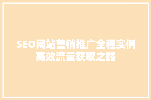 SEO网站营销推广全程实例高效流量获取之路 小程序开发