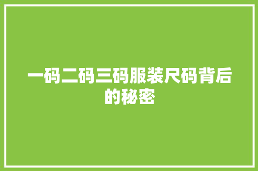 一码二码三码服装尺码背后的秘密 网站优化