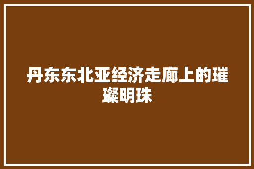 丹东东北亚经济走廊上的璀璨明珠 搜狗优化