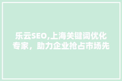 乐云SEO,上海关键词优化专家，助力企业抢占市场先机 网站开发