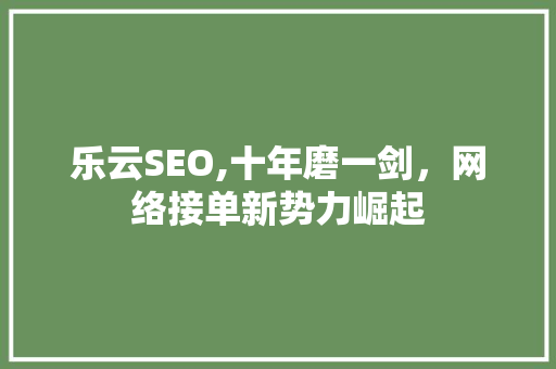 乐云SEO,十年磨一剑，网络接单新势力崛起 网站优化