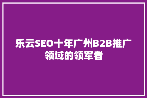 乐云SEO十年广州B2B推广领域的领军者 网站优化