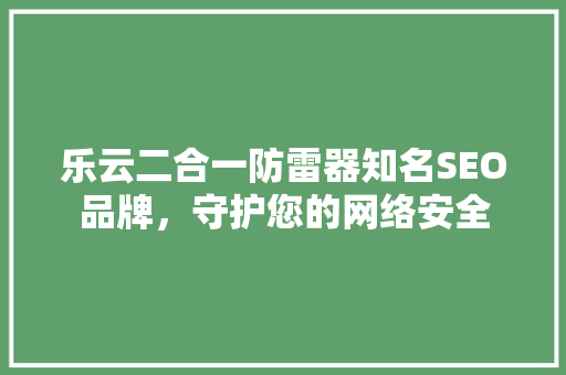 乐云二合一防雷器知名SEO品牌，守护您的网络安全