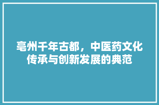 亳州千年古都，中医药文化传承与创新发展的典范