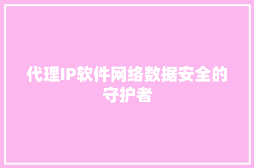 代理IP软件网络数据安全的守护者