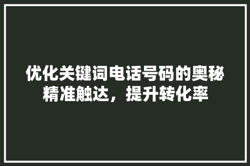 优化关键词电话号码的奥秘精准触达，提升转化率