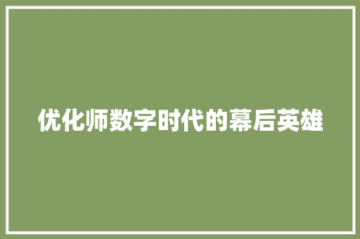 优化师数字时代的幕后英雄