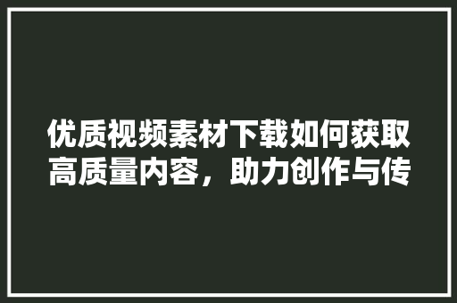 优质视频素材下载如何获取高质量内容，助力创作与传播