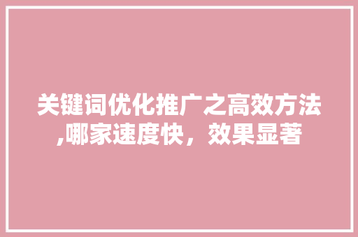 关键词优化推广之高效方法,哪家速度快，效果显著 英文谷歌算法