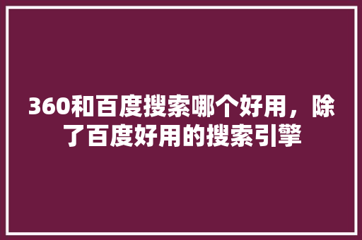 360和百度搜索哪个好用,除了百度好用的搜索引擎 百度算法 360和百度搜索哪个好用,除了百度好用的搜索引擎 百度算法