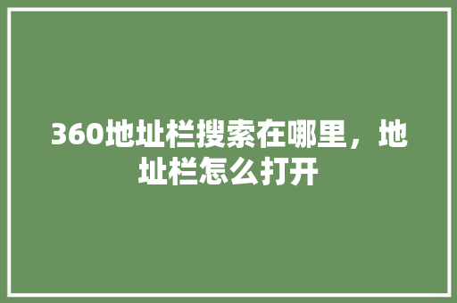 360地址栏搜索在哪里，地址栏怎么打开