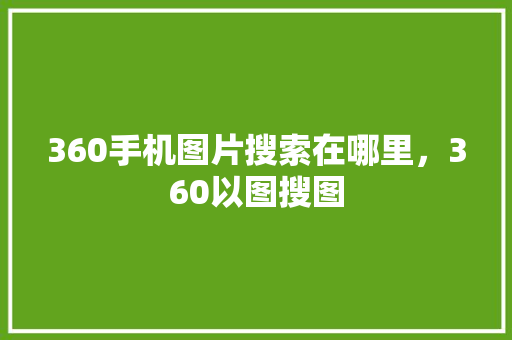 360手机图片搜索在哪里，360以图搜图 英文谷歌算法