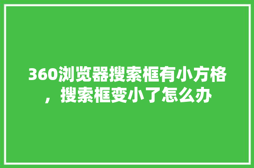 360浏览器搜索框有小方格，搜索框变小了怎么办 小程序开发