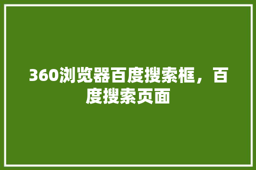 360浏览器百度搜索框，百度搜索页面