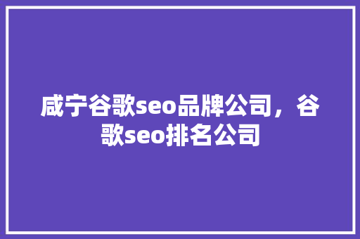 咸宁谷歌seo品牌公司，谷歌seo排名公司