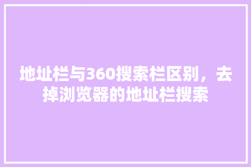 地址栏与360搜索栏区别，去掉浏览器的地址栏搜索