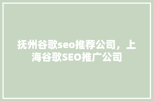 抚州谷歌seo推荐公司，上海谷歌SEO推广公司