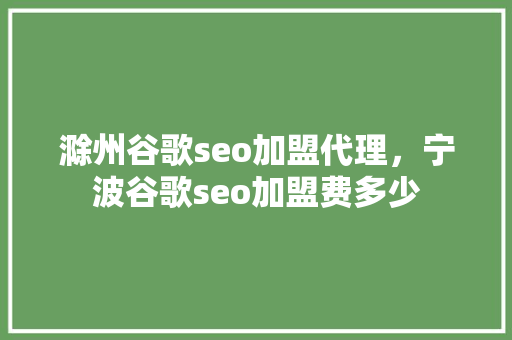 滁州谷歌seo加盟代理，宁波谷歌seo加盟费多少 seo技术