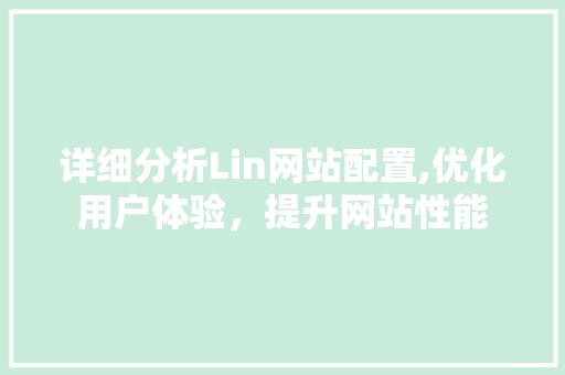 详细分析Lin网站配置,优化用户体验，提升网站性能
