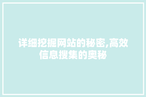详细挖掘网站的秘密,高效信息搜集的奥秘