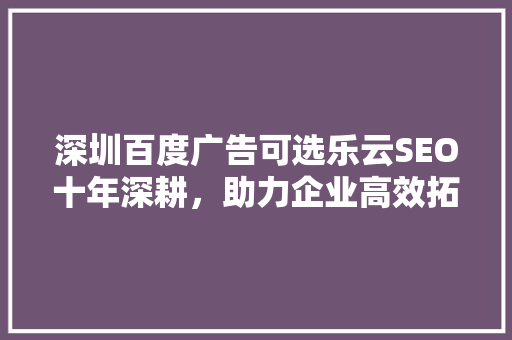 深圳百度广告可选乐云SEO十年深耕，助力企业高效拓展市场 网站优化
