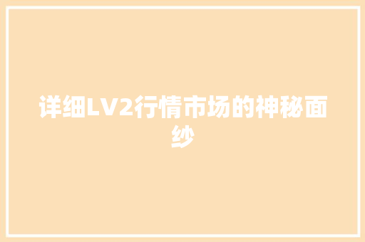 详细LV2行情市场的神秘面纱