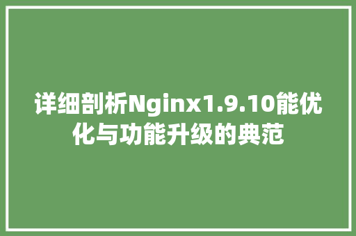 详细剖析Nginx1.9.10能优化与功能升级的典范