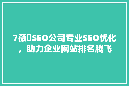 7薇鈊SEO公司专业SEO优化，助力企业网站排名腾飞