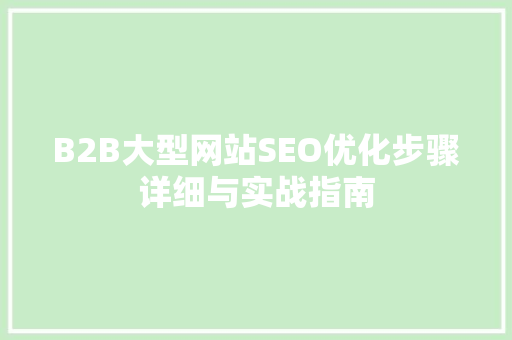 B2B大型网站SEO优化步骤详细与实战指南