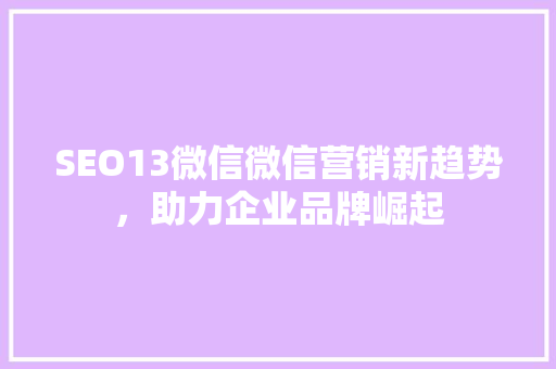 SEO13微信微信营销新趋势，助力企业品牌崛起 网站优化