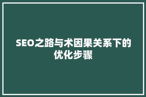 SEO之路与术因果关系下的优化步骤