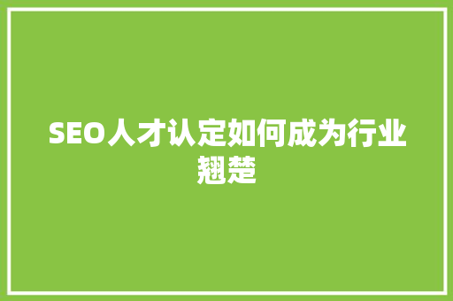SEO人才认定如何成为行业翘楚 seo技术