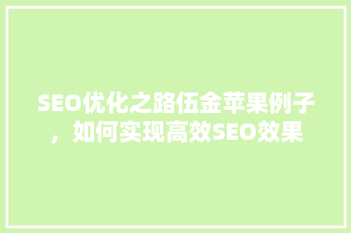 SEO优化之路伍金苹果例子，如何实现高效SEO效果