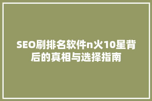 SEO刷排名软件n火10星背后的真相与选择指南