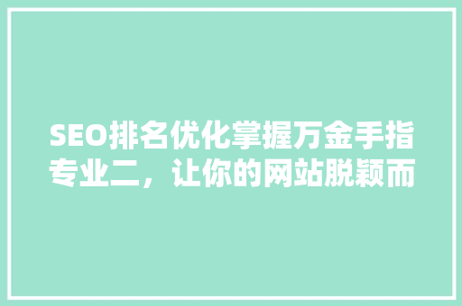 SEO排名优化掌握万金手指专业二，让你的网站脱颖而出 百度算法