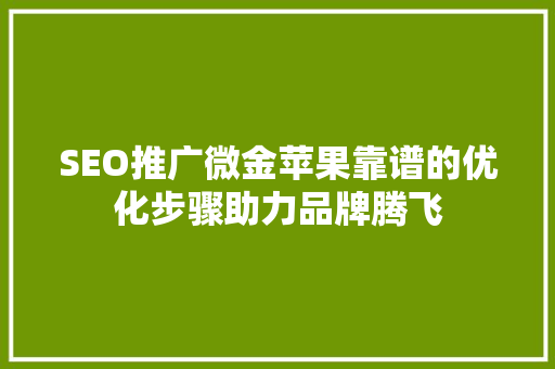 SEO推广微金苹果靠谱的优化步骤助力品牌腾飞