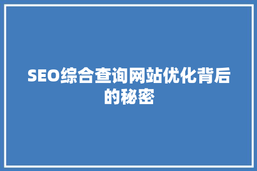 SEO综合查询网站优化背后的秘密