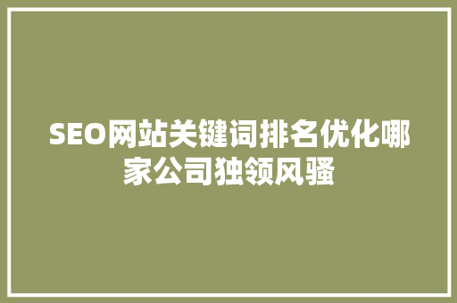 SEO网站关键词排名优化哪家公司独领风骚