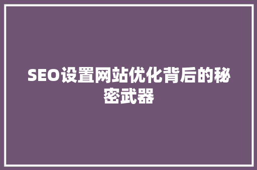 SEO设置网站优化背后的秘密武器 百度算法