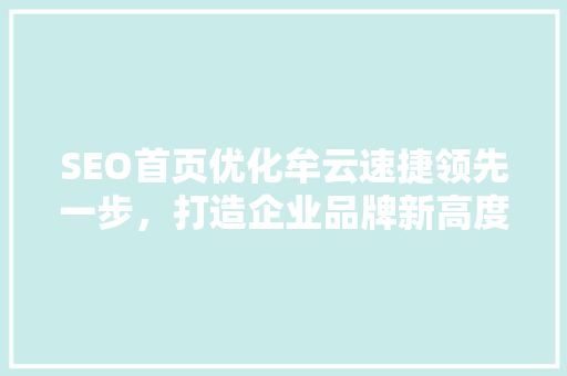 SEO首页优化牟云速捷领先一步，打造企业品牌新高度
