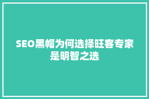 SEO黑帽为何选择旺客专家是明智之选