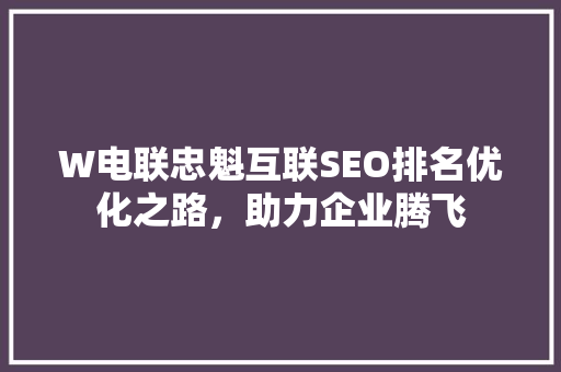 W电联忠魁互联SEO排名优化之路，助力企业腾飞