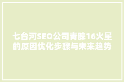 七台河SEO公司青睐16火星的原因优化步骤与未来趋势