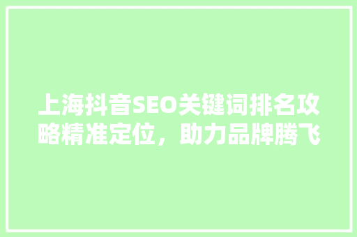 上海抖音SEO关键词排名攻略精准定位，助力品牌腾飞