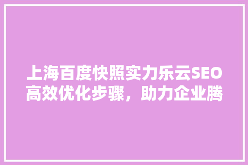 上海百度快照实力乐云SEO高效优化步骤，助力企业腾飞